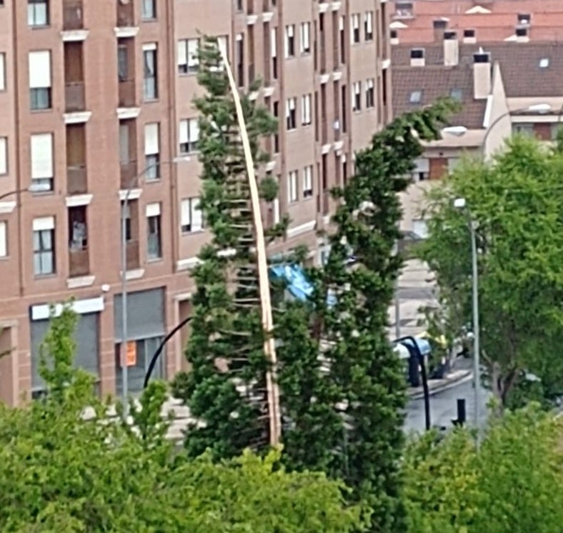 Tximisten indarra