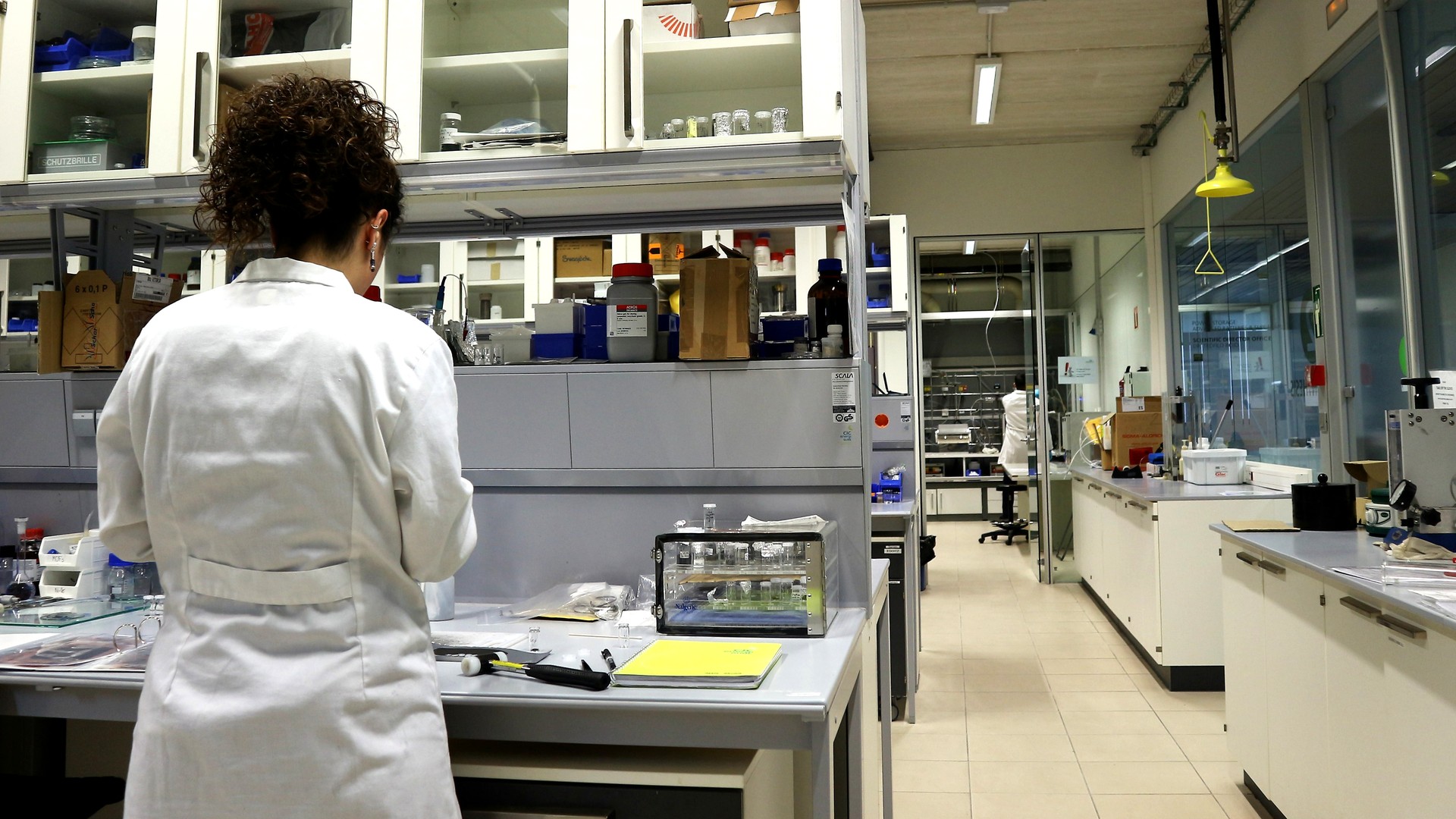 Ogasunari dirua bueltatzeko eskatu diote doktoregaiek