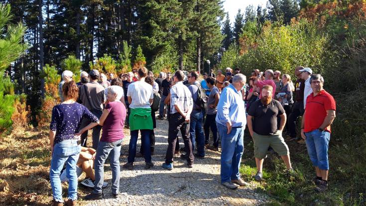 Kezka zabaldu da pinudietan