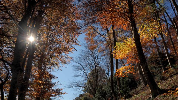 Matxuratu zaigu kaleidoskopioa