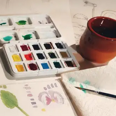 Ilustrazio zientifikoaren hastapenak: tximeletak ikertzen