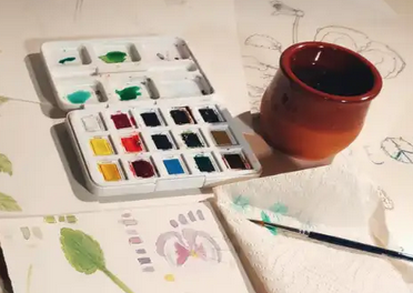 Ilustrazio zientifikoaren hastapenak: botanika