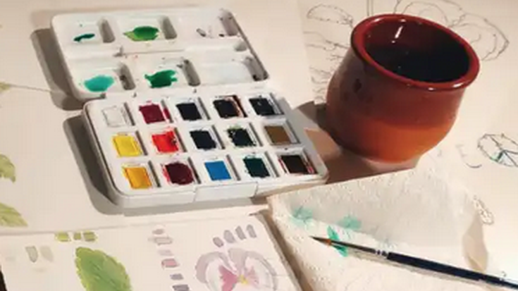 Ilustrazio zientifikoaren hastapenak: botanika