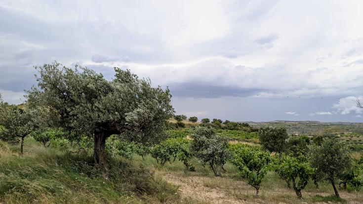 Tenperaturak dezente jaitsiko dira