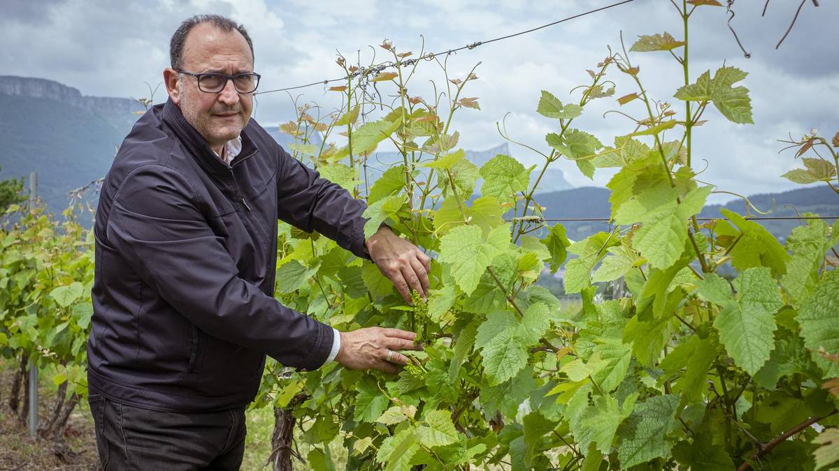 "Ez da erraza galdutako merkatu bat berreskuratzea"