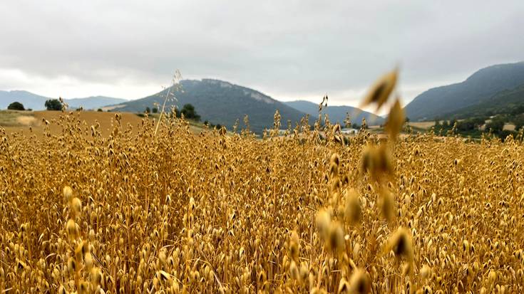 Arratsaldean garbituko da zerua