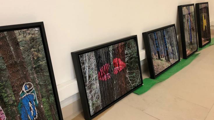 Gasteizen da Omako basoa