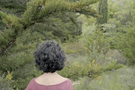 'Xulia'