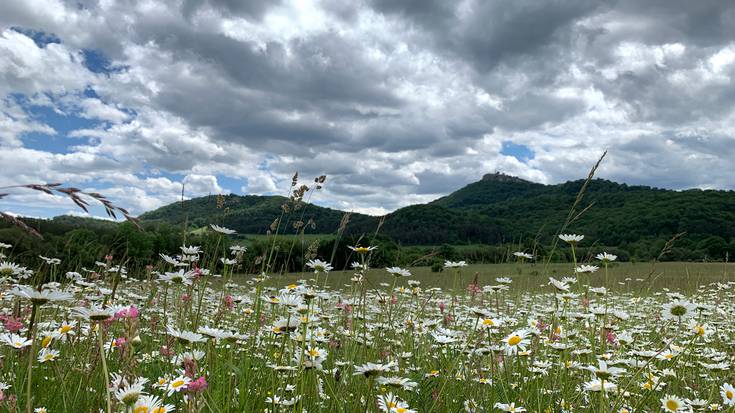 Hodeiak nagusitzen joango dira