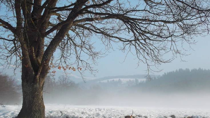 Ziurgabetasun handia elurraren inguruan