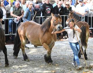 Sei mende baino gehiagoko historia ospatu du Aguraingo azokak