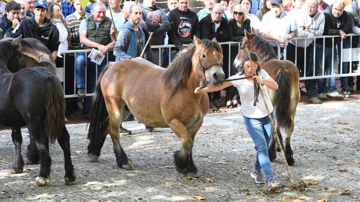 Sei mende baino gehiagoko historia ospatu du Aguraingo azokak