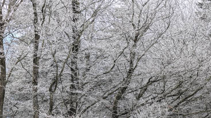 Aldaketa egonkortu da