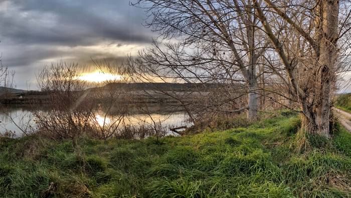 Gaurkoz, Lorenzo ikusgai