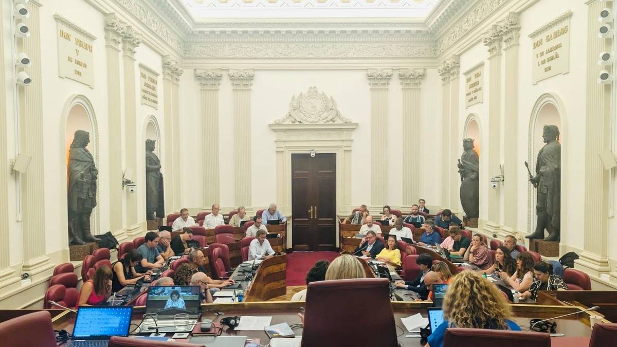Bide nahasiaren ondoren onartu dute kontzejuen foru araua