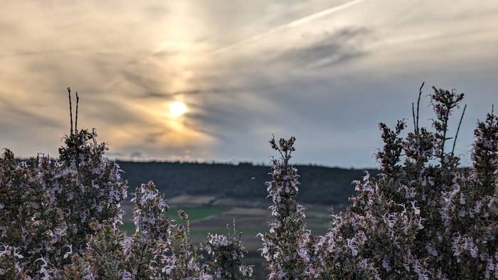 Iganderaino ez da bueltatuko
