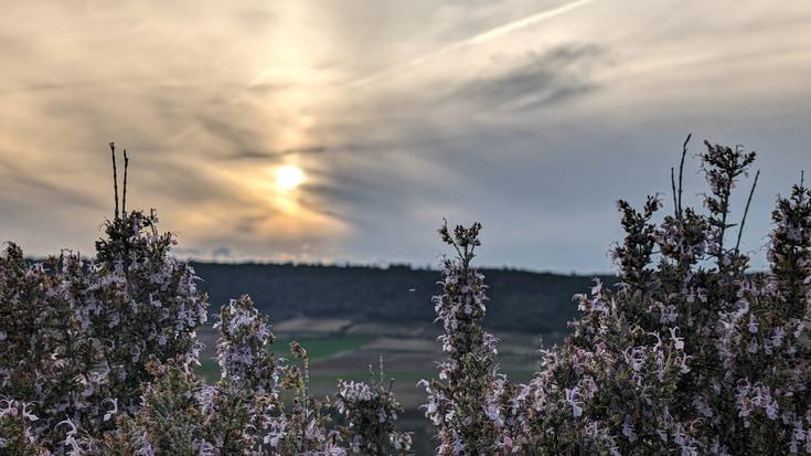 Iganderaino ez da bueltatuko