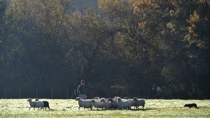 Asteburu hotz eta argitsua