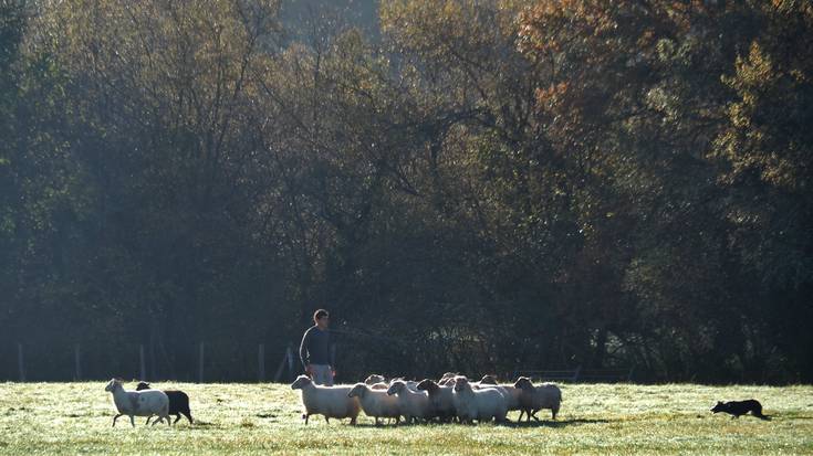 Asteburu hotz eta argitsua