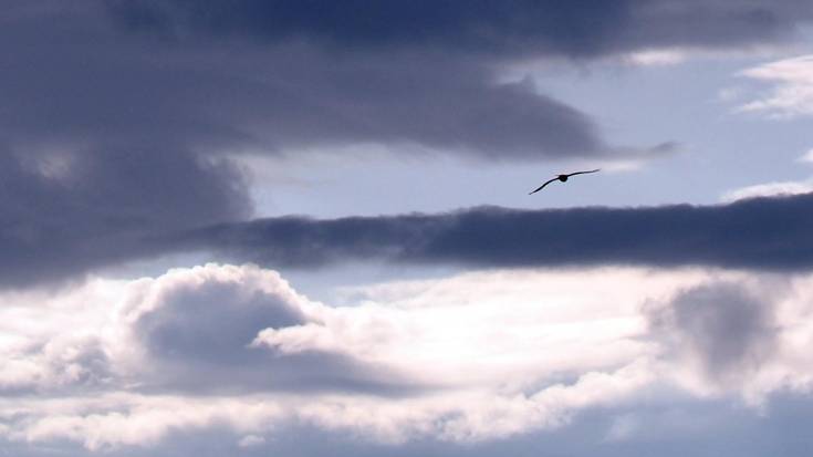 Arratsaldean garbitzera joko du