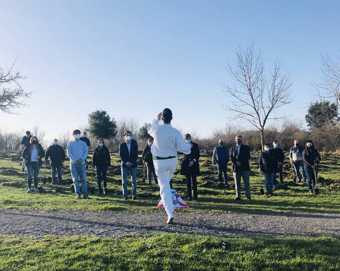 Mila haritzeko baso berri bat izango da Gasteizen
