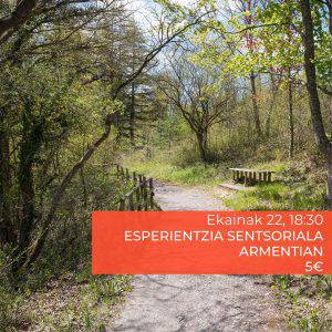 Esperientzia sentsoriala Armentian