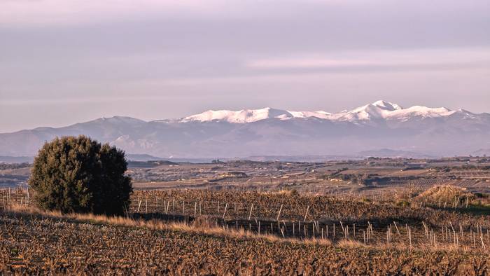 Eguraldiari dagokionez bederen, giro atsegina