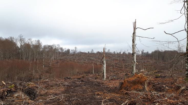 Legaireko tornadoaren eremua ikergai bihurtu dute