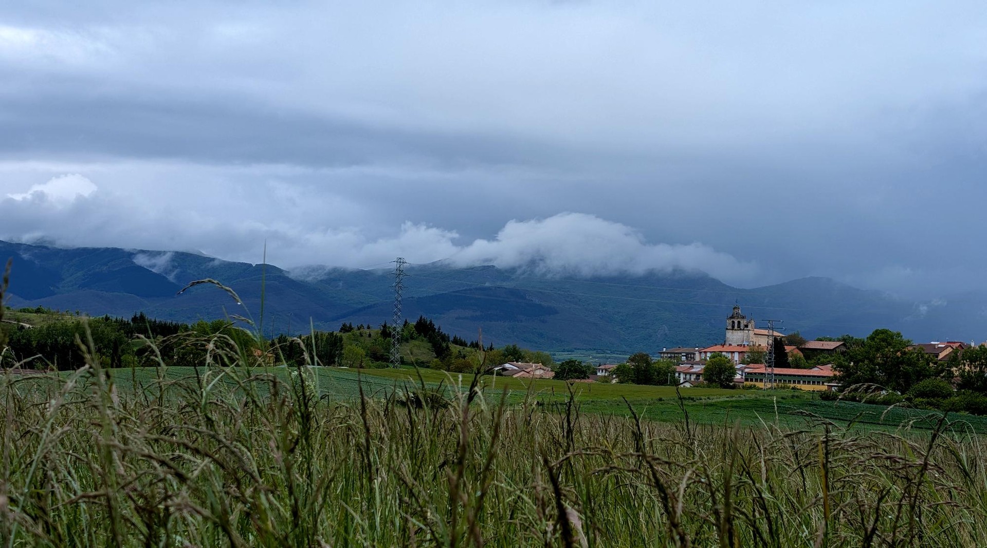 Giro gris eta hezea