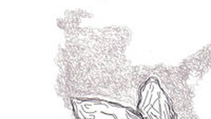 'Eulien bazka', Hasier Etxeberria